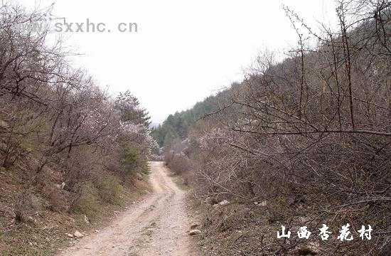 向阳匣三十里桃花洞-山西杏花村